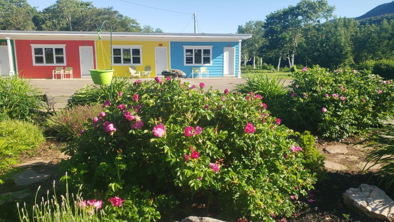 Chéticamp Cornerstone Motel מראה חיצוני תמונה